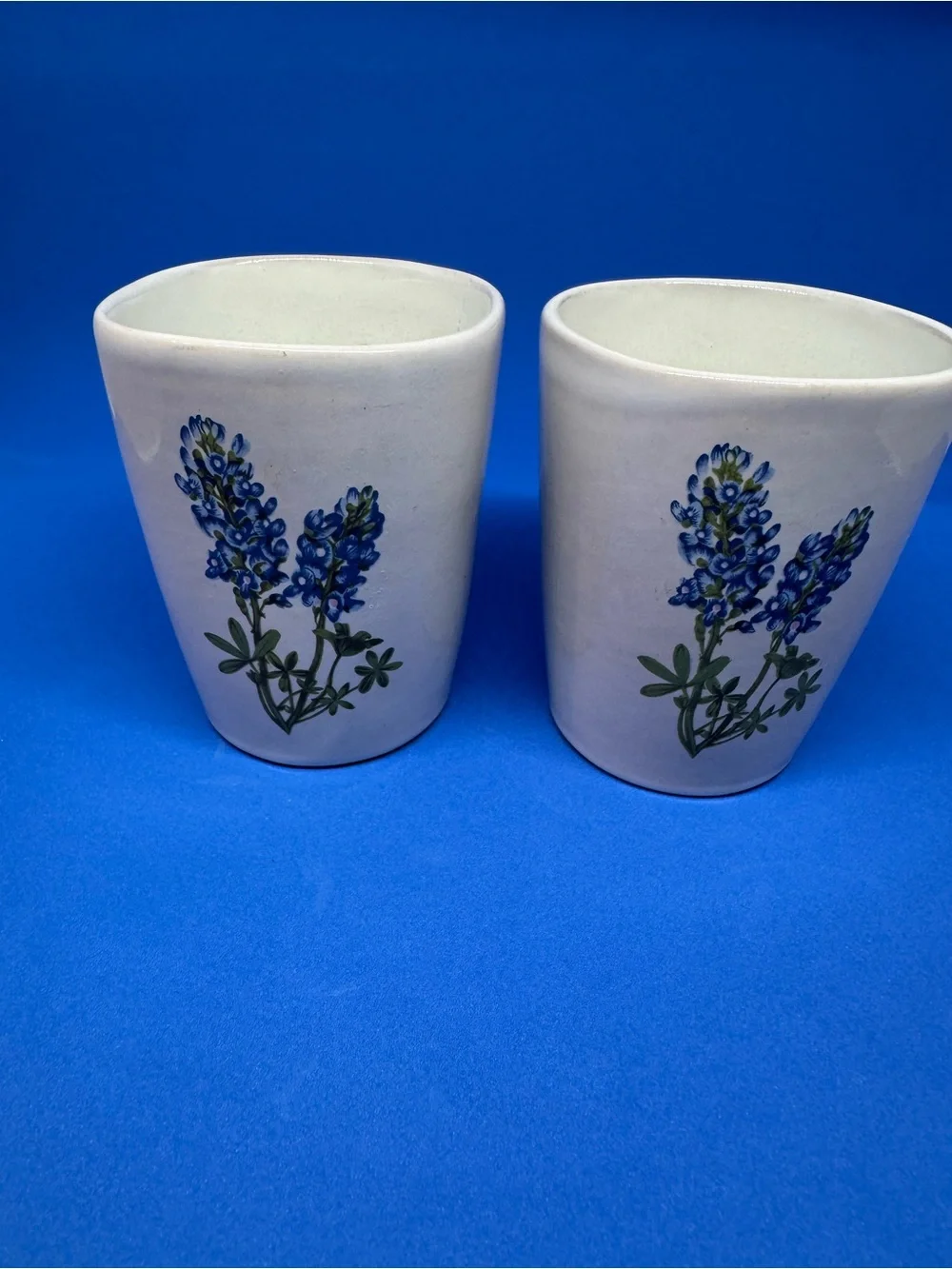 Frankoma White Ceramic Cups with Bluebonnet Floral Design (Pair)